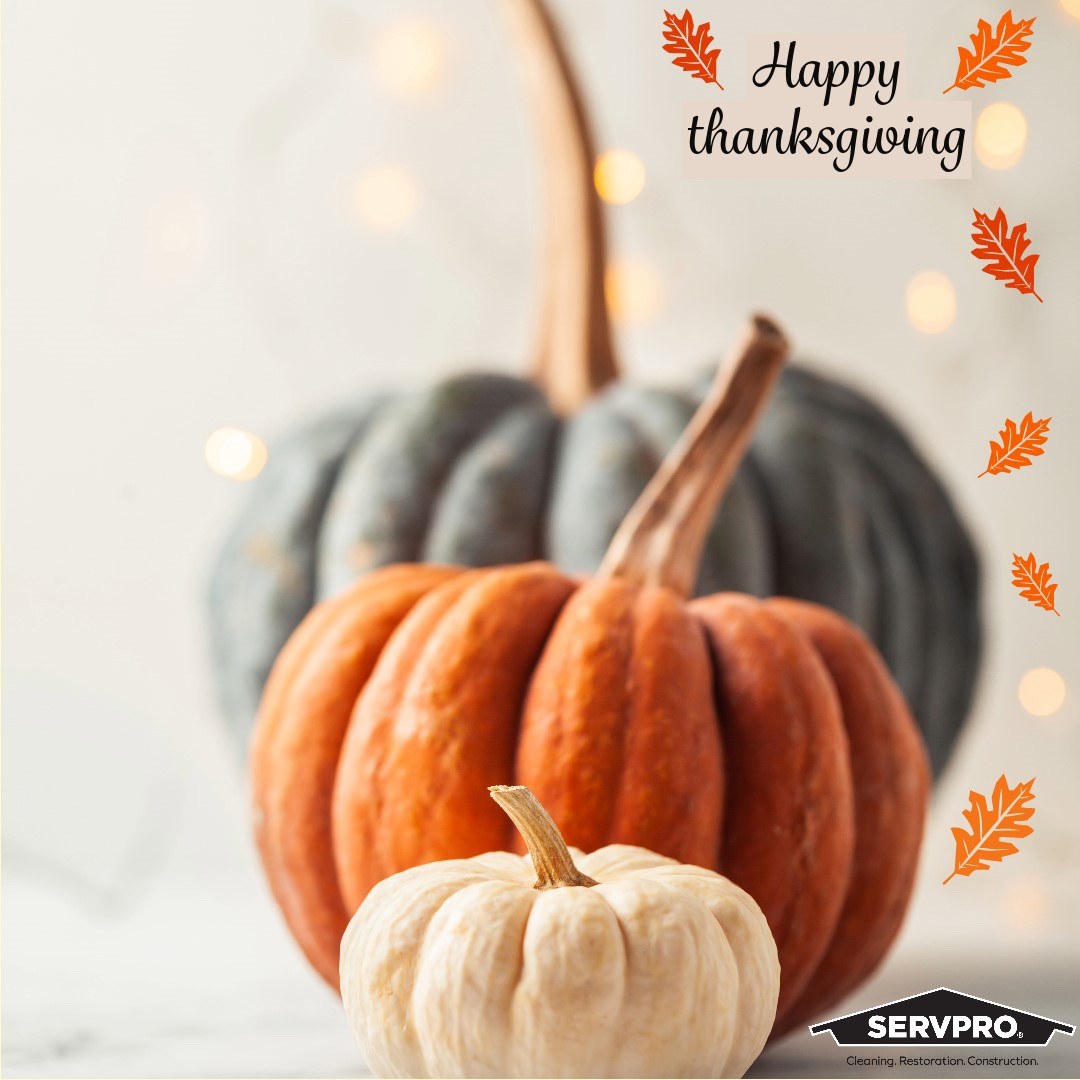 "Grateful for the opportunity to serve and protect this Thanksgiving. Wishing you all a day filled with warmth, joy, and appreciation. Happy Thanksgiving from the Servpro family!
