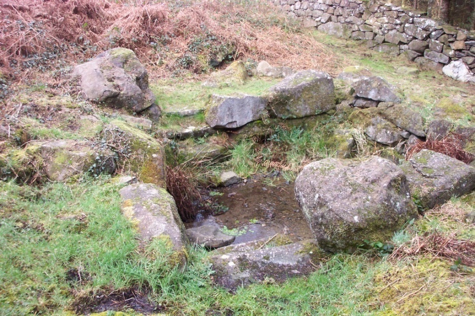 Ffynnon Saint, Bron Llwyd, Rhiw, Llŷn. Ag adeiladwaith cerrig a grisiau yn arwain at y dŵr. Arferai merched ymweld â hi pob Dydd Iau Dyrchafael i olchi eu llygaid a thaflu pin iddi 'fel arwydd o ddiolchgarwch.' (Myrddin Fardd). Diolch i Elfed Gruffydd am y lluniau.