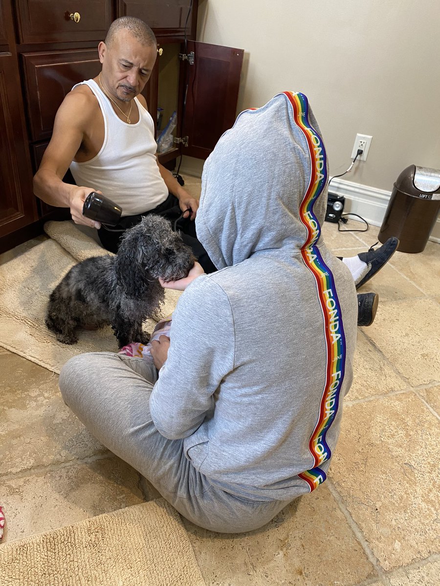 SDGWeb3's tweet image. Forgot the pic