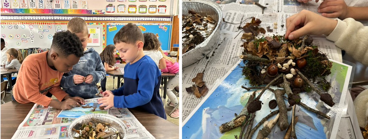 Science Engineering Education Development (SEED) tweet media