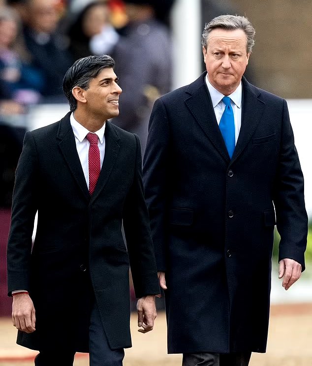 "Can we go on the waltzers? Can we? Can we?"