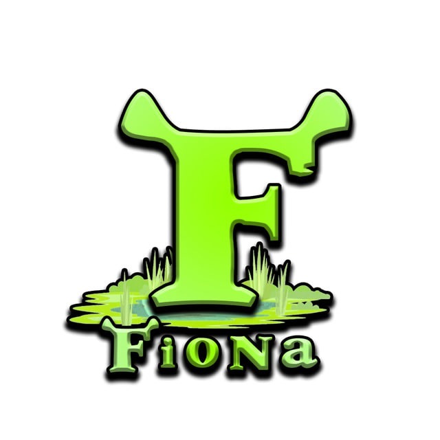 Fiona tweet media