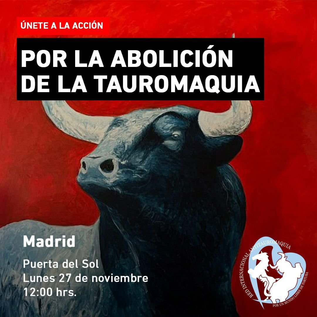 Desde las organizaciones que formamos la Red Internacional Antitauromaquia te invitamos a unirte a la acción por la abolición de la tauromaquia ✊🏽

🗓 Lunes 27 noviembre 2023.
⏰ 11:30 para indicaciones
📍 Frente a Puerta del Sol 7, Madrid.