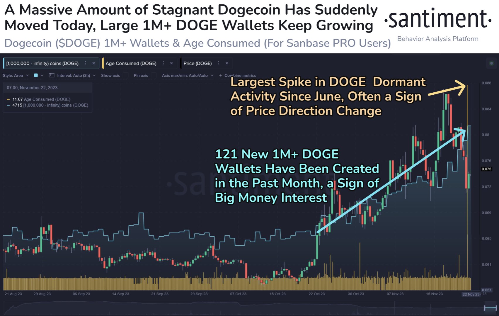 Is Dogecoin About To Reverse? Key Factors To Watch