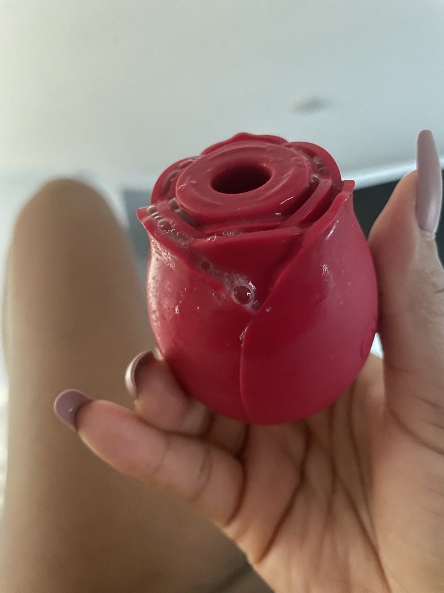lulbuttashh's tweet photo. I love my rose😩 https://t.co/VqIcnbrHqw