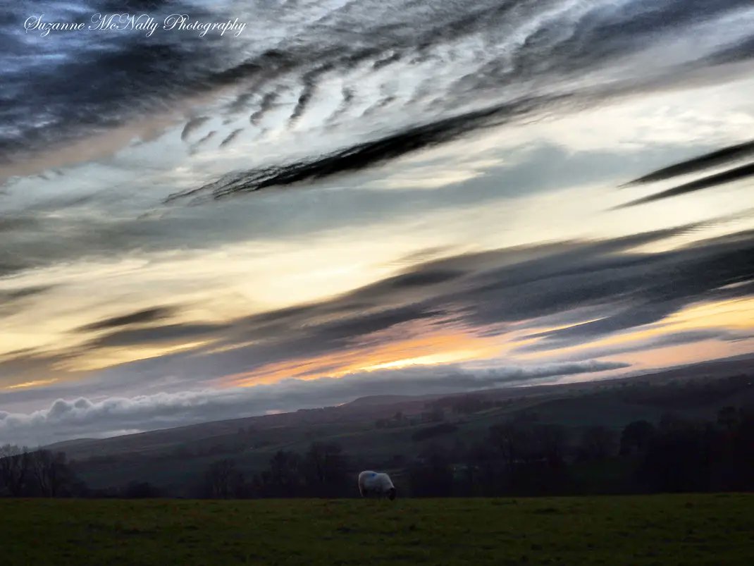 ContactSuzanne's tweet photo. Fabulous skies yesterday, late afternoon walk chit-chatting with the sheepsters. @VisitEden @FarmingUK @EarthandClouds @bbcweather @natsheep https://t.co/GTlprbPbUU