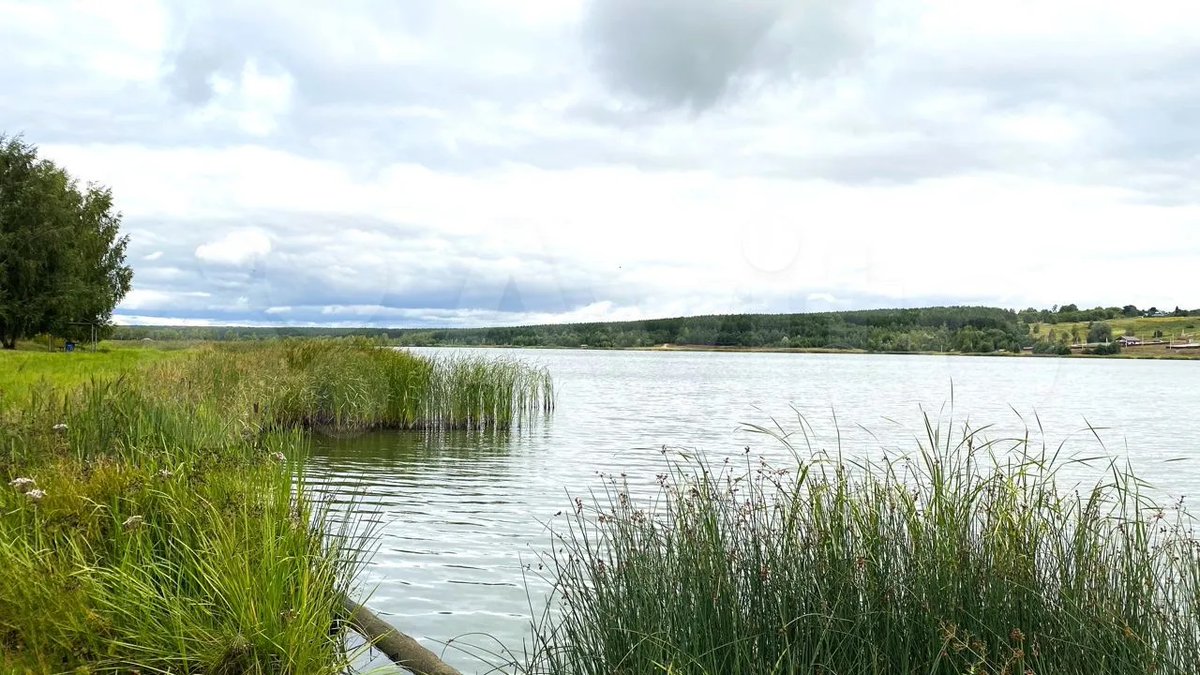 Eugene Soloviev tweet media