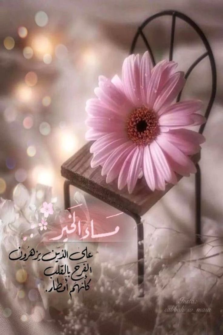 #اليوم_العالمي_لزوجه_الاخ

📨.. ستعلِّمُكَ الْحَياة ..📨●•°•🕊
 الحياة أثمن من أن تهدرها على علاقات مُزيّفة
 أحلام ميّتة صداقات هشّة أماكن لَا تنتمي إليها
كرامتك أولاً فالحياة لن تقف على أحد أن تعتزِل
  كُلّ ما يُؤذيك لِكَي لَا يُؤذيك أكث