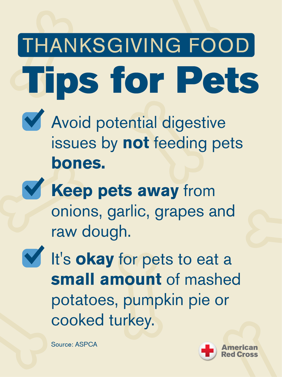 RedCross's tweet photo. It can be tempting to include your furry friend in the #Thanksgiving festivities. Here's a checklist of dos and don'ts when it comes to filling their food bowl with leftovers. ⬇️ https://t.co/8dHCPlZzJM