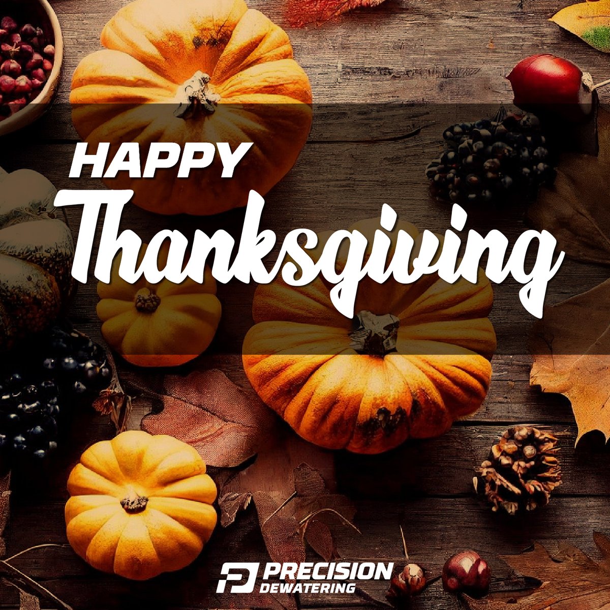 DewateringLLC's tweet photo. We wish you a happy and festive holiday. Happy Thanksgiving from Precision Dewatering.
#Thanksgiving #PrecisionDewatering https://t.co/XpclIJsYc1