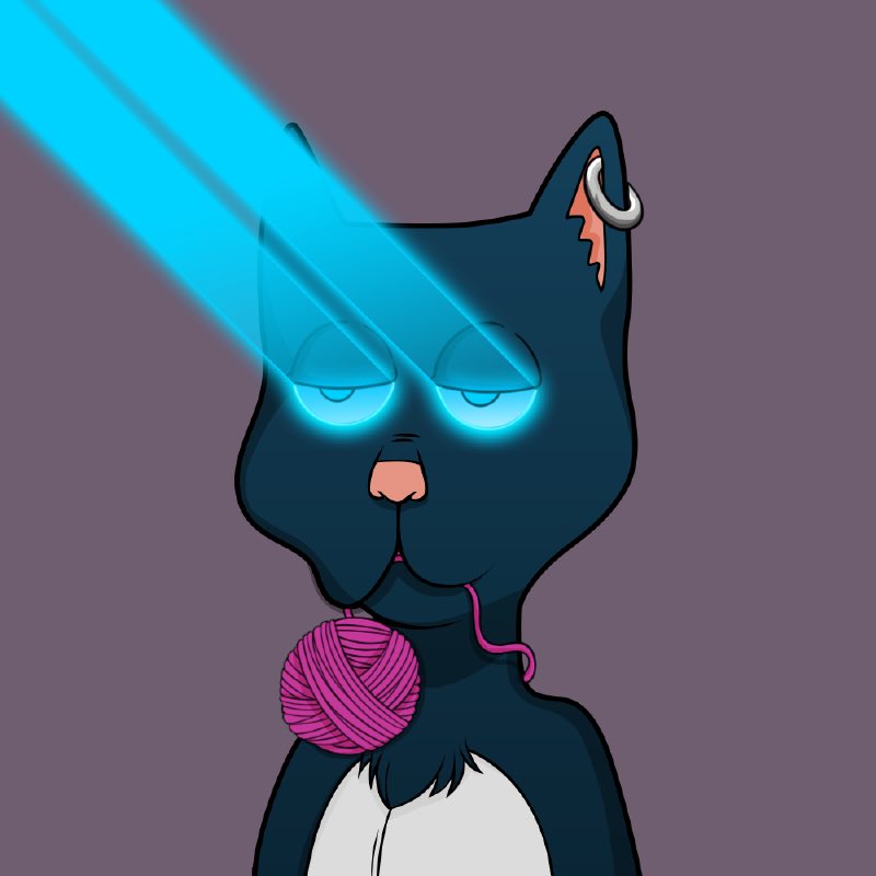 Cats follow cats, reply with your Boss Cat below 🐱👇