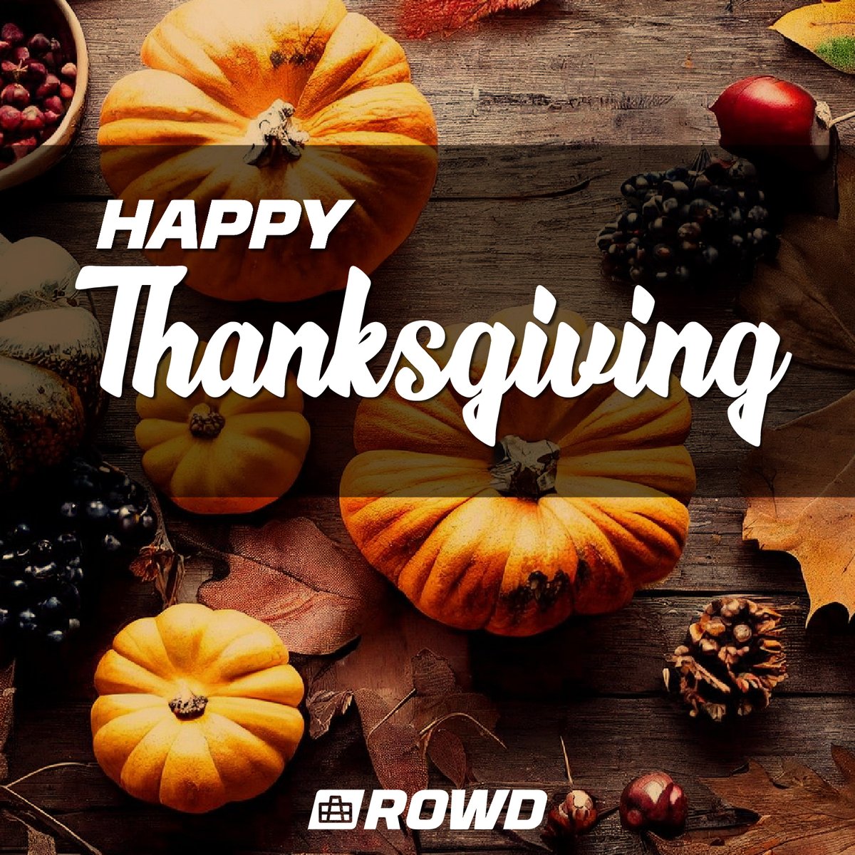 ROWDsled's tweet photo. We wish you a happy and festive holiday. Happy Thanksgiving from ROWD sled.
#Thanksgiving #ROWD https://t.co/Nz7GKSQ34f