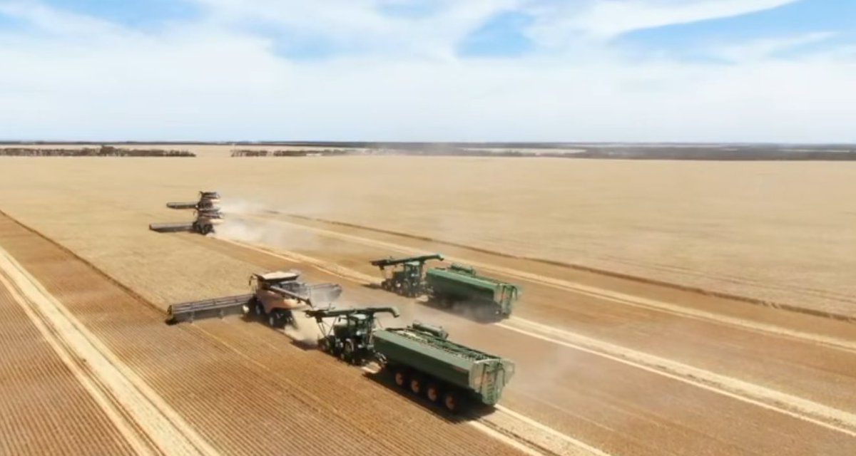 Innovation Farm tweet media