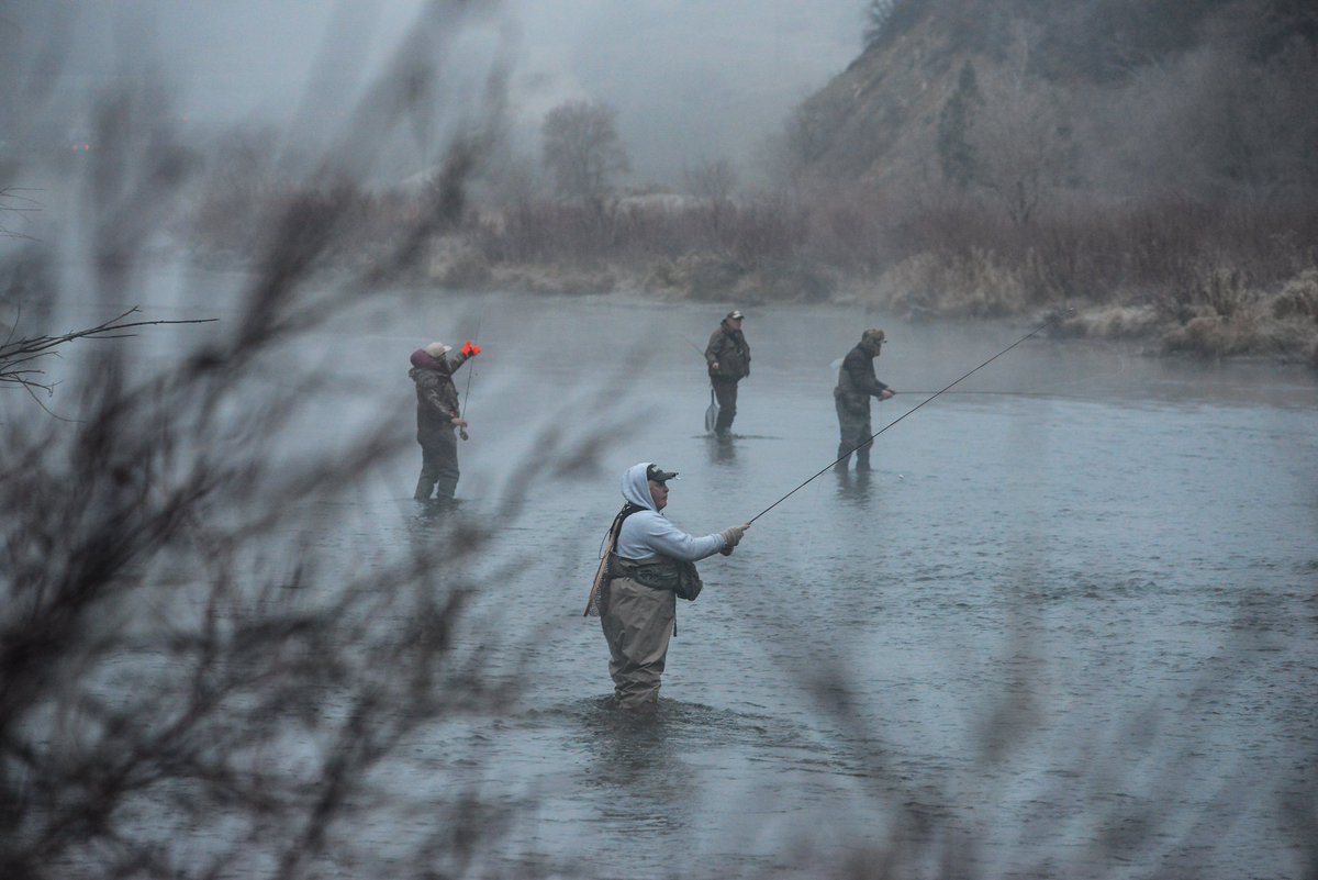 workingitoutnow tweet media