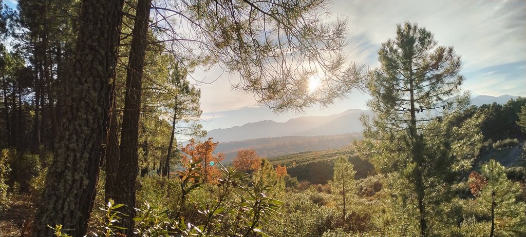 𝗟𝗼𝘀 𝗗𝗼𝗰𝗲 𝗥𝗼𝗯𝗹𝗲𝘀 tweet media