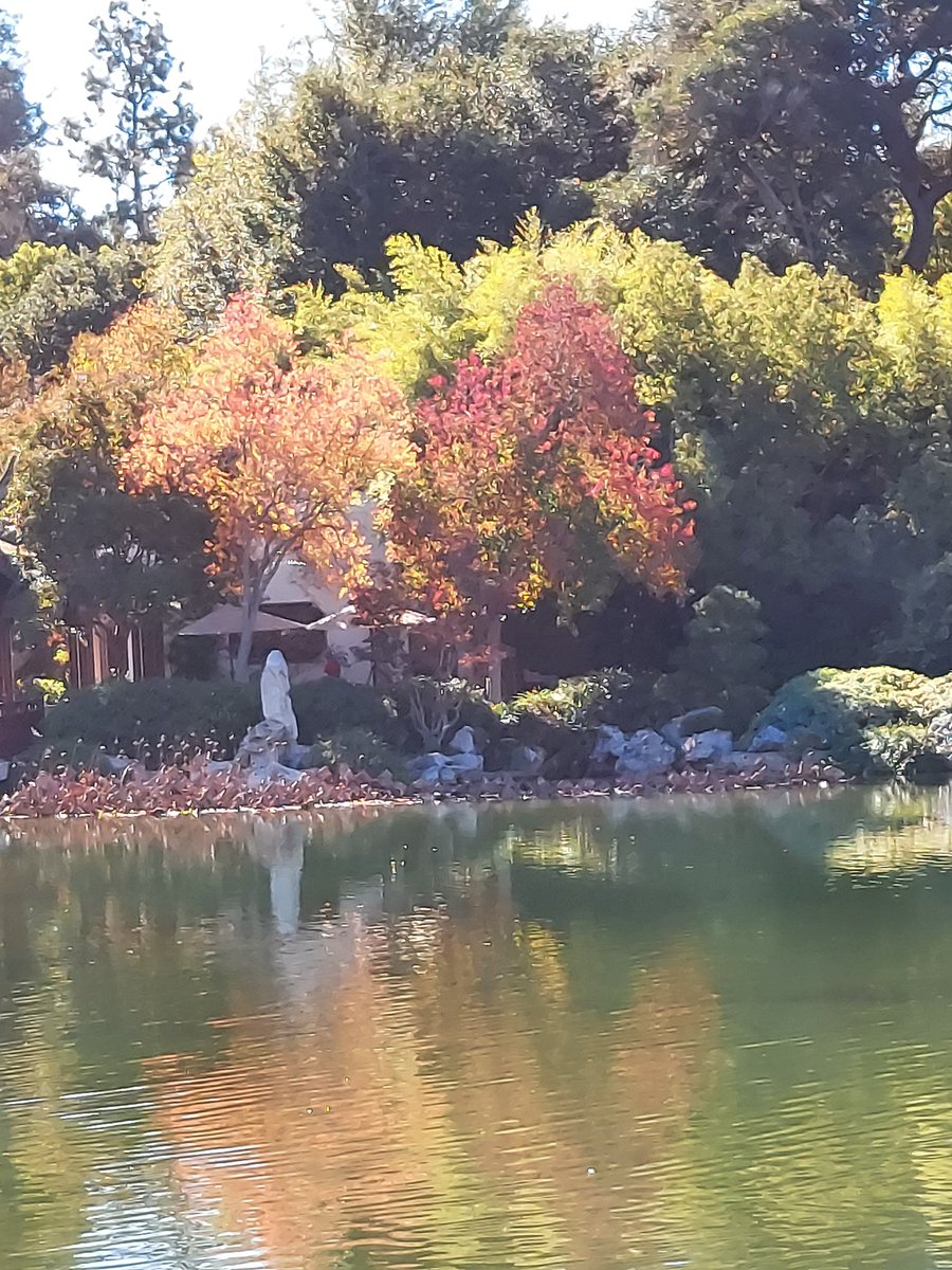 Colors change in the Fall, even in Southern California!