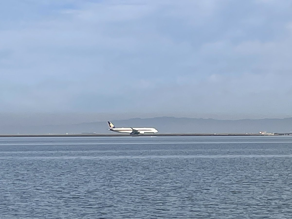 FlyinSPS's tweet photo. #Singapore #SQ31 #Airbus 350-9 about to depart @flySFO and a couple of views as I sit on a bench, listen to some music, trying to connect with my higher power to bring positivity into my day. It’s a great start. About time to get ready for work. #avgeeks #aviation #airlines https://t.co/ngrvGmWor0