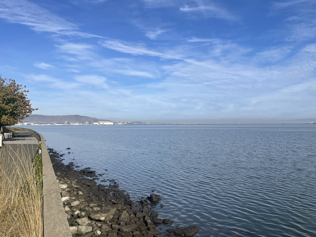 FlyinSPS's tweet photo. #Singapore #SQ31 #Airbus 350-9 about to depart @flySFO and a couple of views as I sit on a bench, listen to some music, trying to connect with my higher power to bring positivity into my day. It’s a great start. About time to get ready for work. #avgeeks #aviation #airlines https://t.co/ngrvGmWor0
