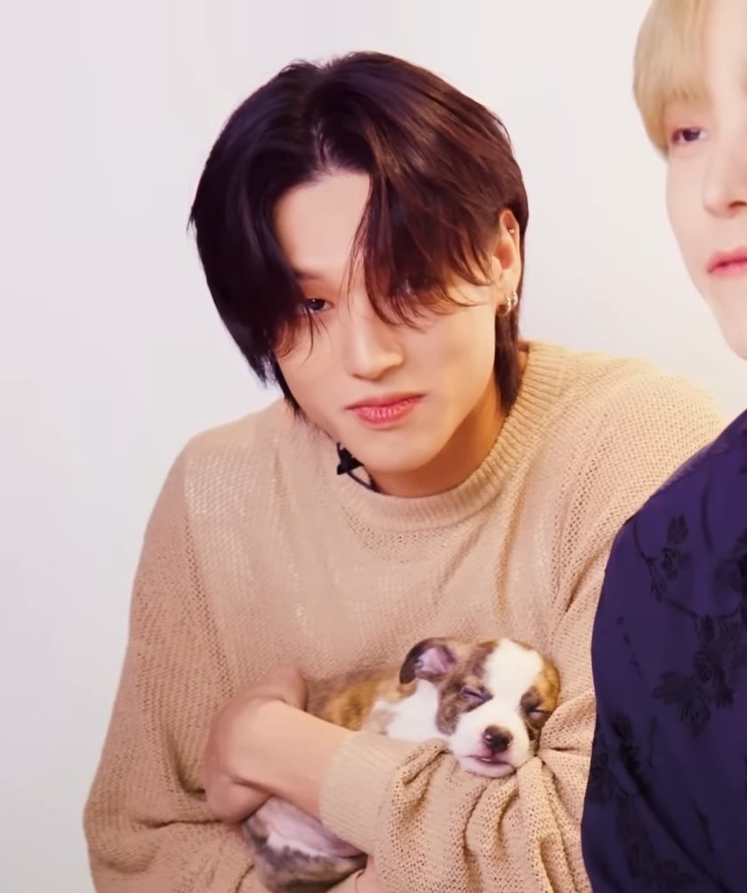 ArmtinyStay's tweet photo. GET HIM A PUPPY https://t.co/ItE4pUH0eP