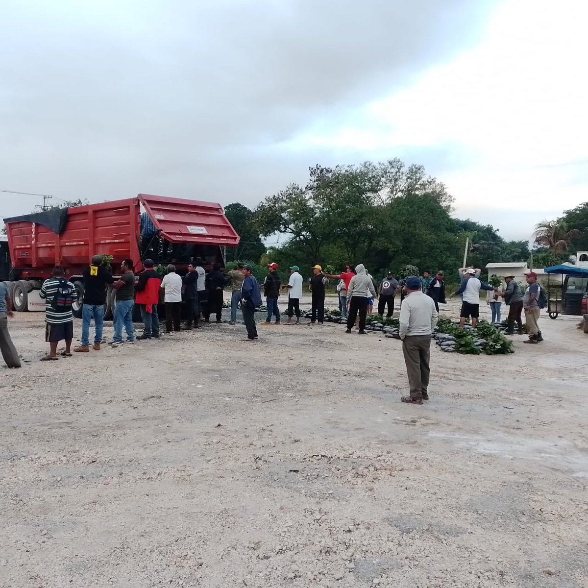 EATCampeche's tweet photo. En colaboración con @PFTPMex , en Campeche se está llevando a cabo la entrega de 177 mil plantas a productores beneficiarios de #ProducciónParaElBienestar y que participan en la #EstrategiaDeAcompañamientoTécnico , en favor de la agroecología. #AutosuficienciaAlimentaria. https://t.co/peD0YoSiAd