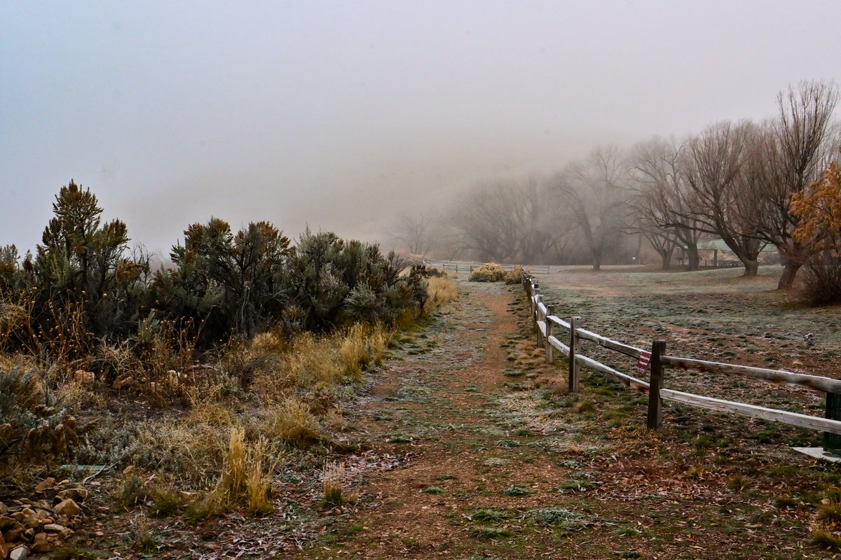 workingitoutnow tweet media