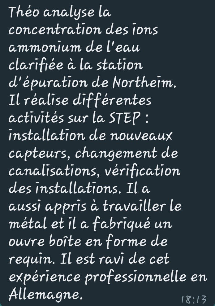 Sarah Zeitoun tweet media