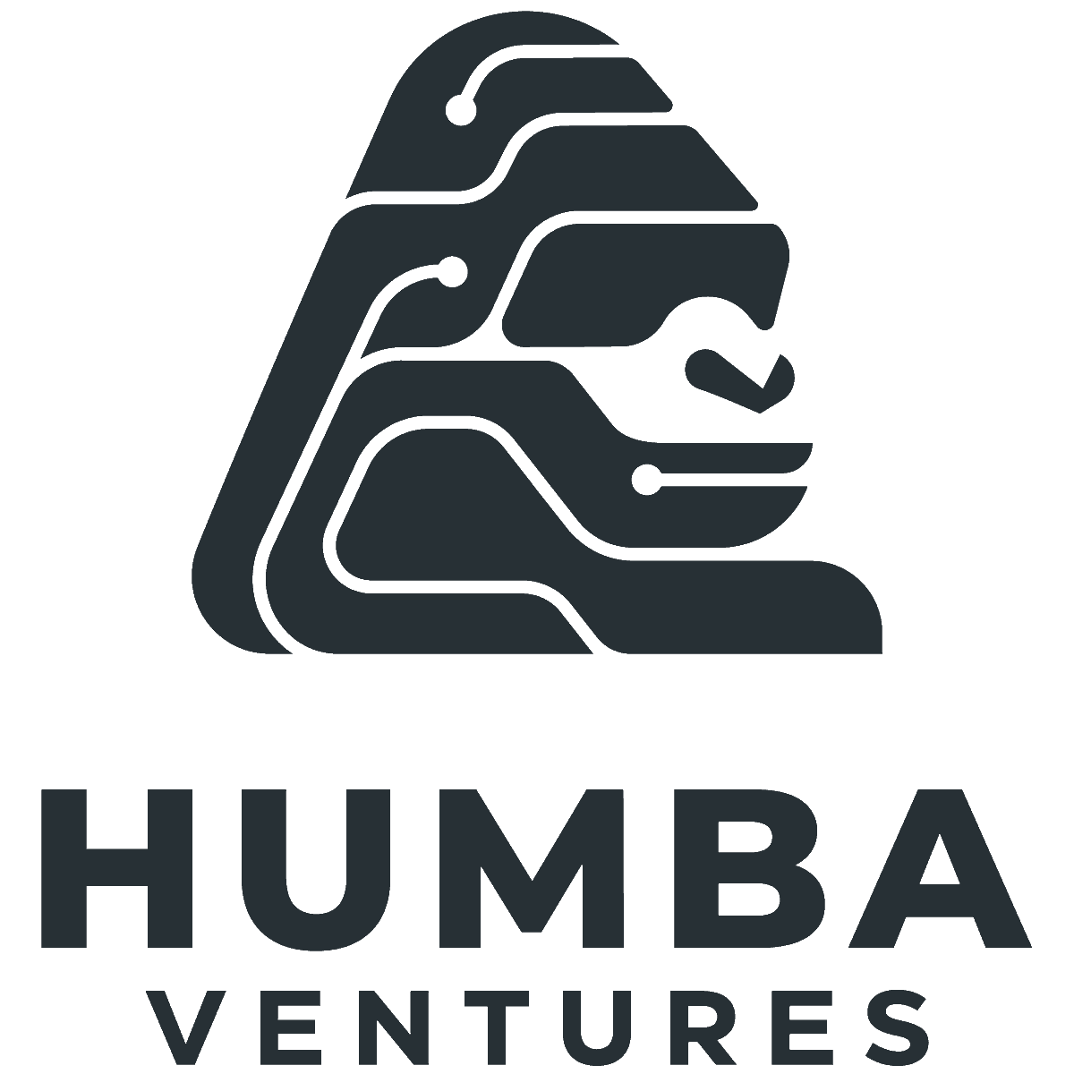 I'm excited to reveal the new <a href="/humbavc/">Humba Ventures</a> logo to the world! Humba is a new deep tech fund in the <a href="/SusaVentures/">Susa Ventures</a> fund family, and we wanted its logo to reflect Susa's gorilla theme + a more futuristic/high tech feel. The result is a gorilla in the style of a circuit diagram! 🦍