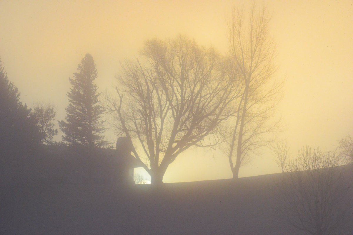 workingitoutnow tweet media