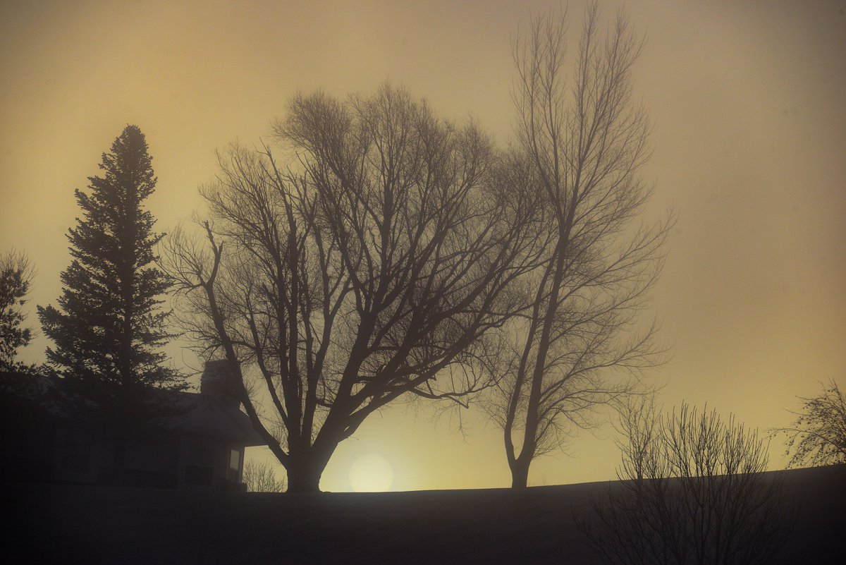 workingitoutnow tweet media