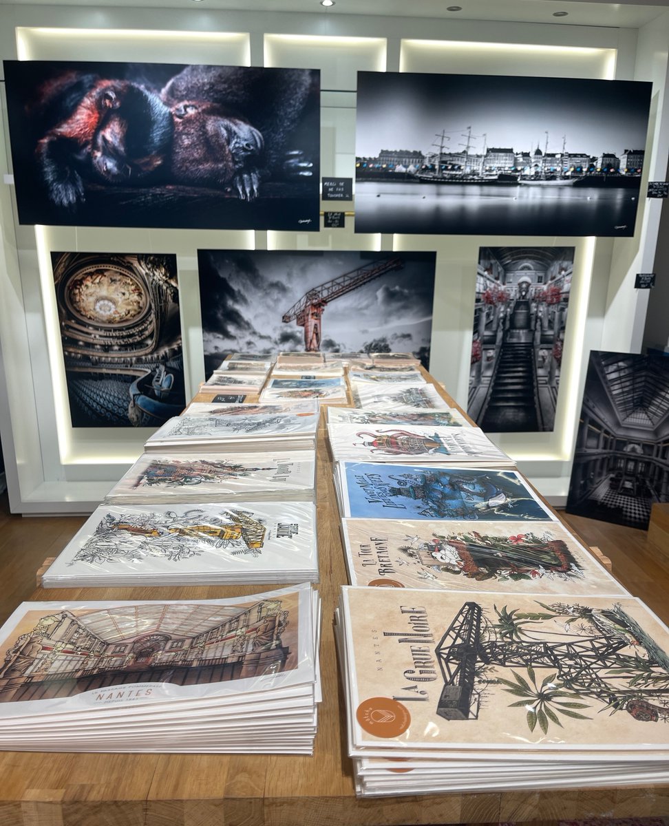 Envie de nouveauté pour décorer vos murs ? RDV dans notre boutique de Noël du 6 rue Rubens, quartier Royale Crébillon à Nantes. Jusqu'au 30 décembre, photos sur différents supports et de multiples formats, et illustrations de l'artiste Geoffrey Berniolle. ⁠
#nantes #photo #noel