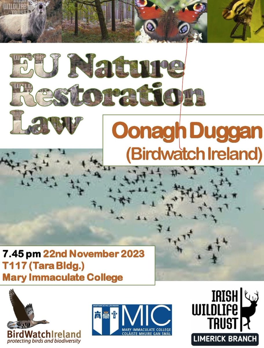 Important talk in MIC tonight #birdwatchireland #irishwildlifetrust #eunaturerestorationlaw