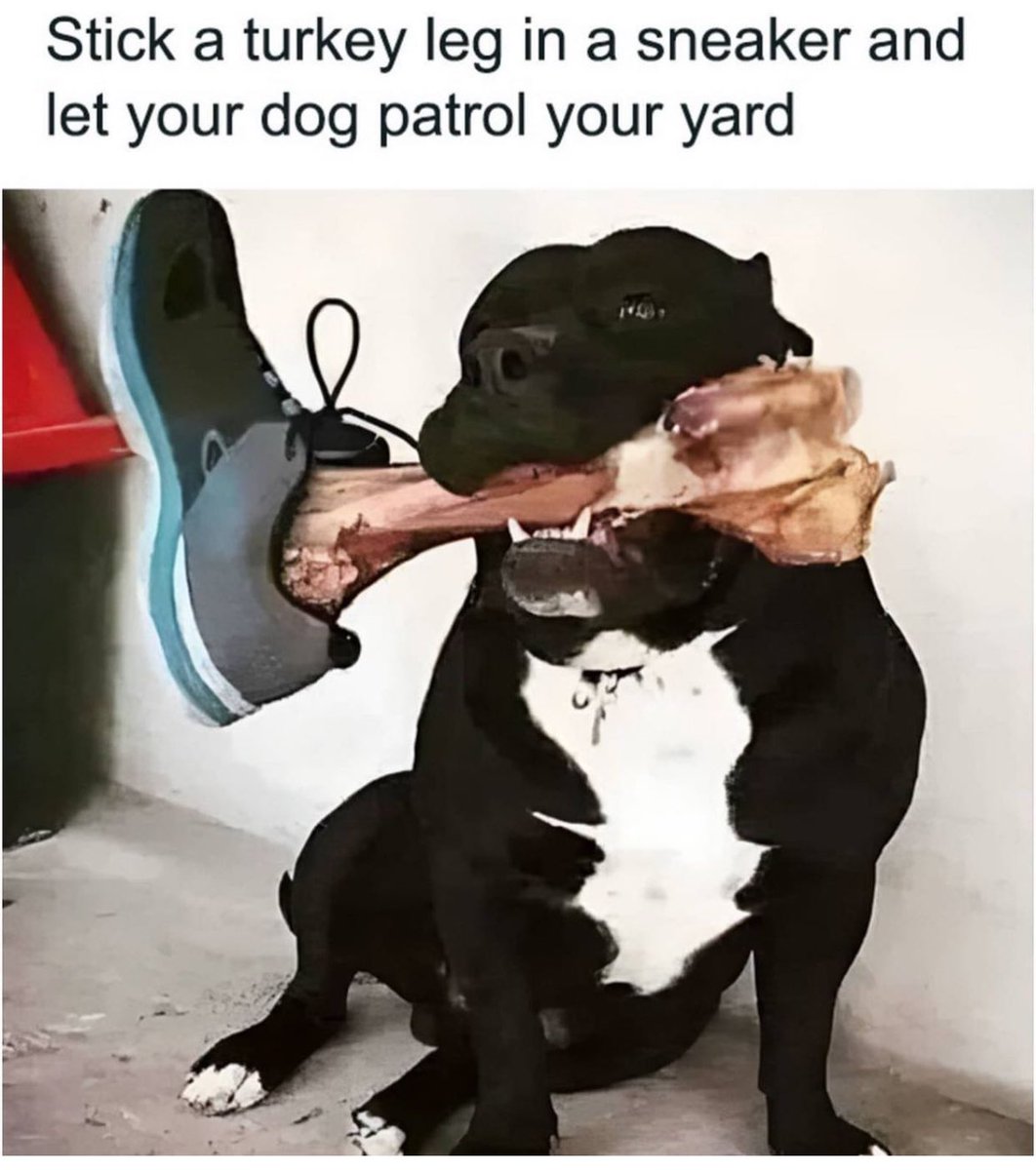 Happy thanksgiving ☺️