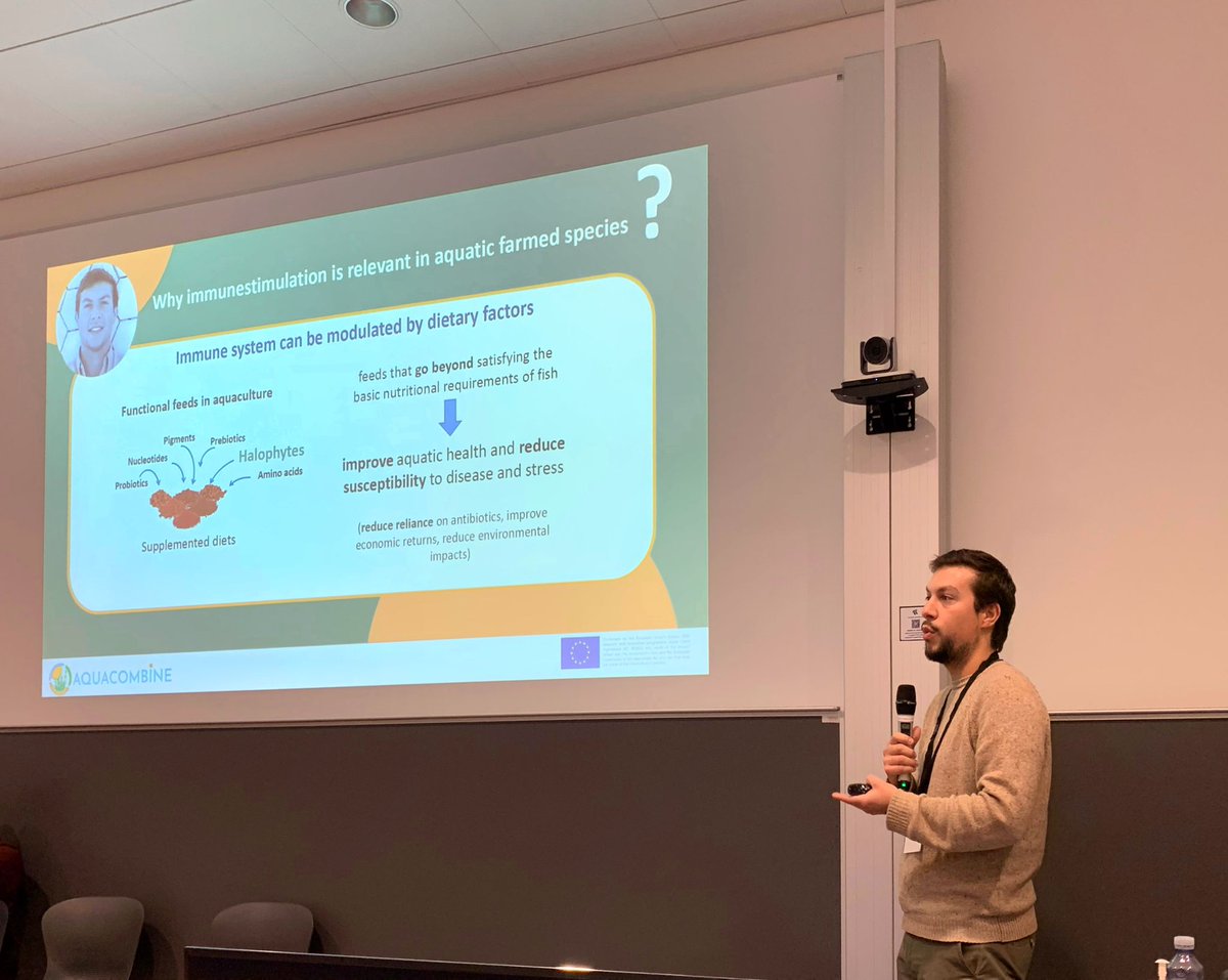A2S_CIIMAR's tweet photo. 🌿At the concluding @AQUACOMBINE1 conference, A2S researcher  @lramospinto91 was part of the 🐟aquacultural trials roundtable, initiating discussions with a concise focus on the significance of  immunostimulation in aquatic farmed animals

#Aquaculture #AnimalWelfare #Halophytes https://t.co/j2oR7u6mBz