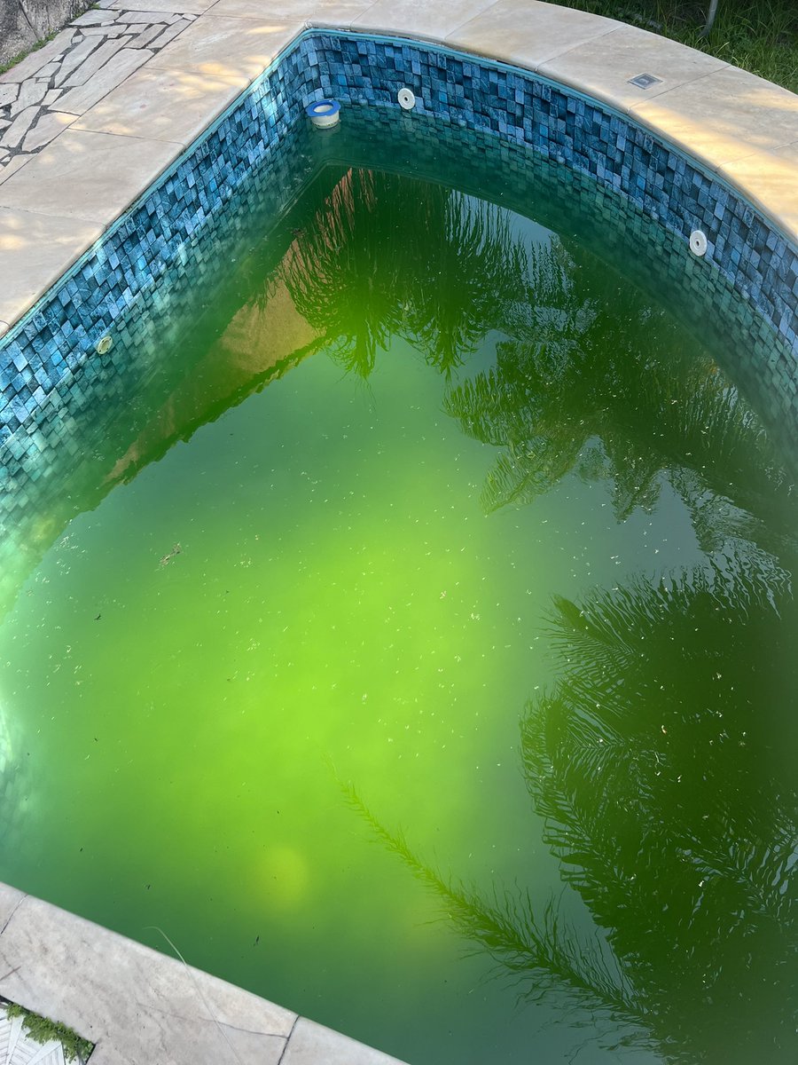 Purzkea's tweet photo. + isso é desumano!!! Queremos respostas de quando finalmente teremos água novamente e quem vai arcar com os custos extras de água mineral, de produto de piscina, pois não consigo mais limpar a mesma. Chegou em nível de água que não dá mais para aspirar!! Por favor, nos enxerguem! https://t.co/Av6nJymg0l