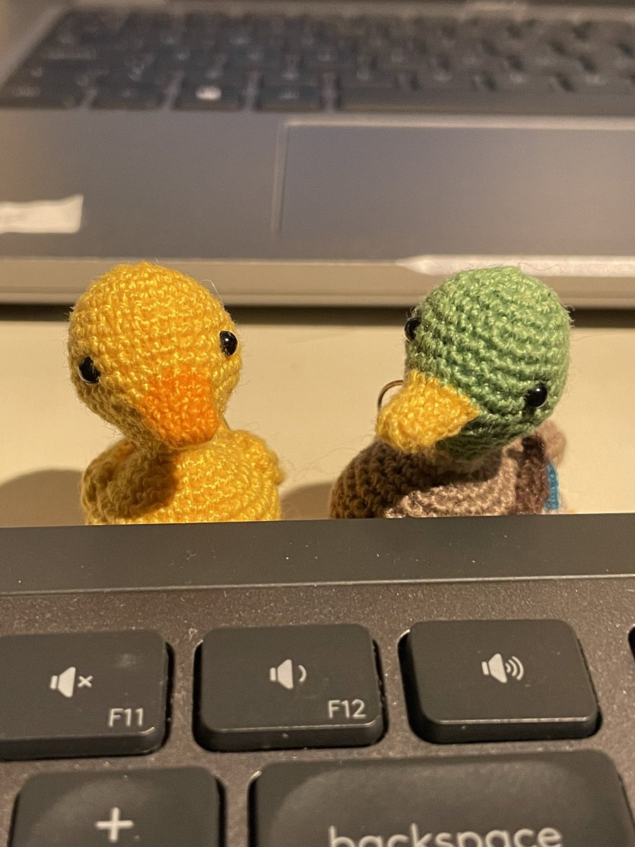 drmakerbaker's tweet image. My little quacks are keeping me company while I work on routine data today. They saw lots of new people at the @UKTMN Data Access training earlier with @NHSDigital (NHS England DARS team)! 

#DUCkS #RoutineData #HealthData