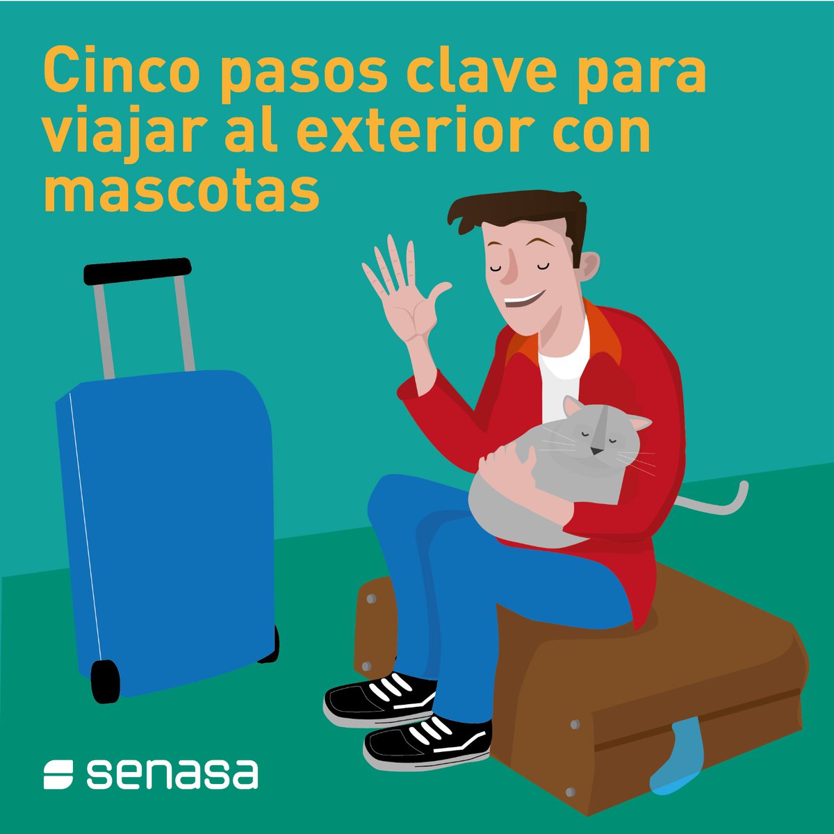 SenasaAR's tweet image. ¿Vas a viajar con tu mascota desde Argentina hacia el exterior? 🇦🇷✈️🐶🐱🌍

⭐5 PASOS CLAVE PARA VIAJAR AL EXTERIOR CON MASCOTAS⭐

¡Anticipate y consultá con tiempo! No dejes este trámite para último momento😜

➕ℹ️👉 t.ly/m5_xF

#ViajaConTuMascota