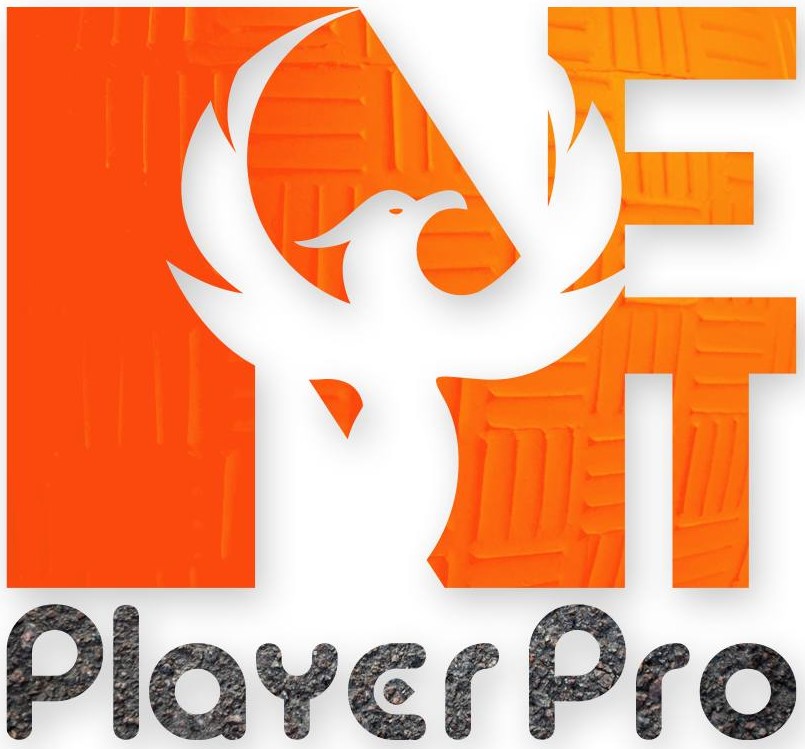 You can view your Phoenix Blockchain NFTs on NFTplayerpro.com where you can also create playlists with media NFTs! Wait, NFTs aren't only pictures?

NFTs, or non-fungible tokens, are digital assets tied to blockchain technology, representing ownership and authenticity of