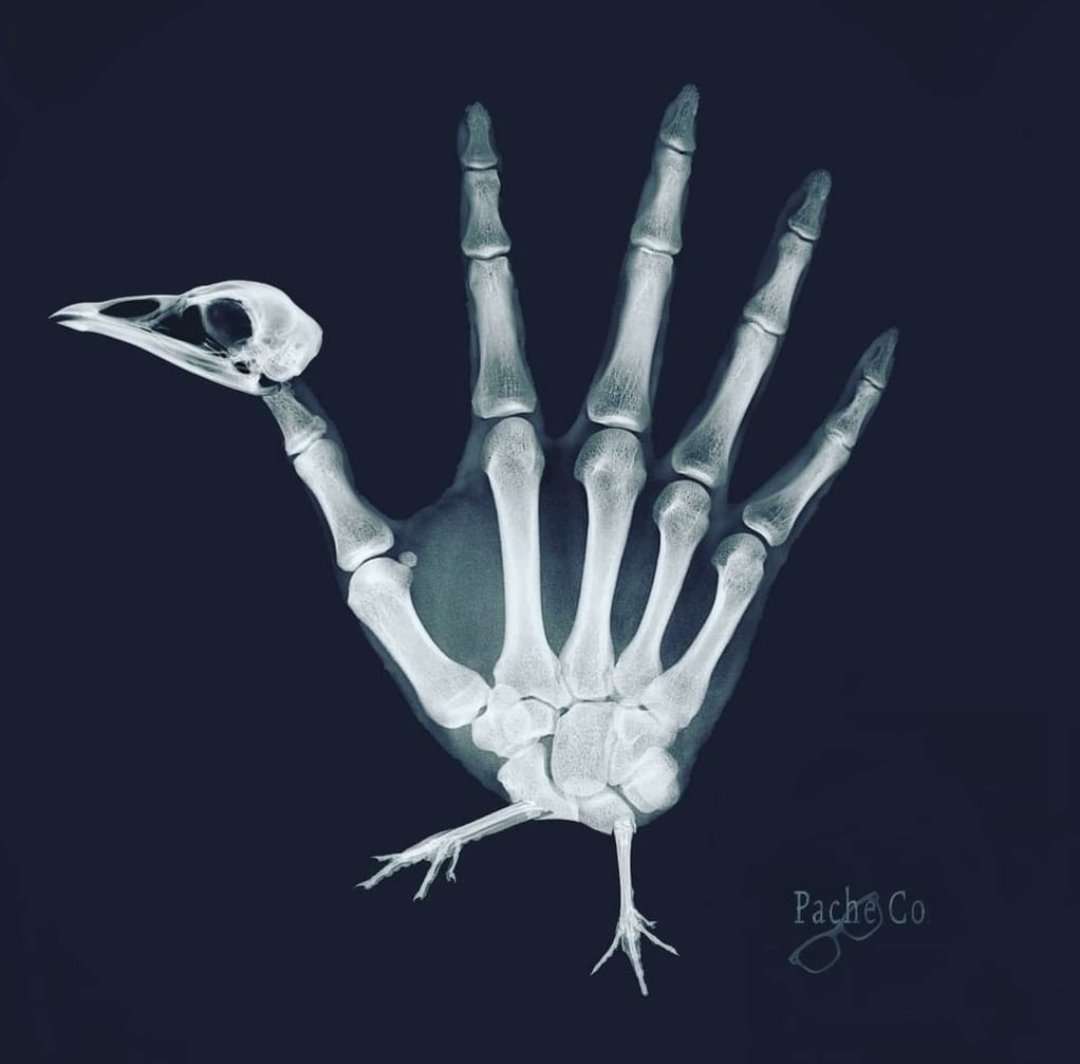 Thankful for the community whose health we serve. Thankful for our collaborators whose partnerships make innovation possible. Thankful for our faculty and trainees, who shape the future of healthcare. ♥️✌️

Wishing everyone a safe recess, with opportunity for shared gratitude.