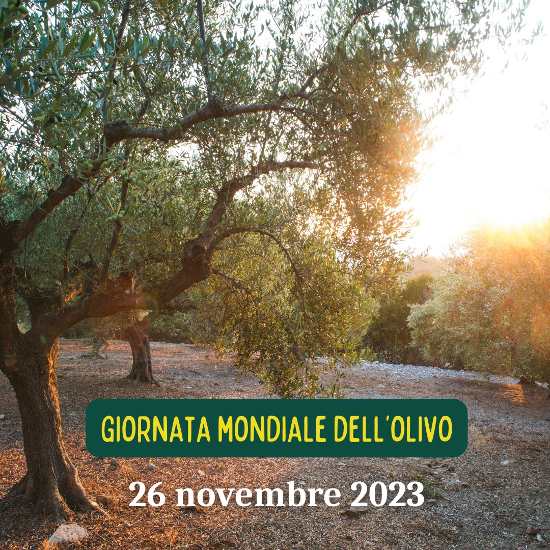 Ente Terre Toscane tweet media