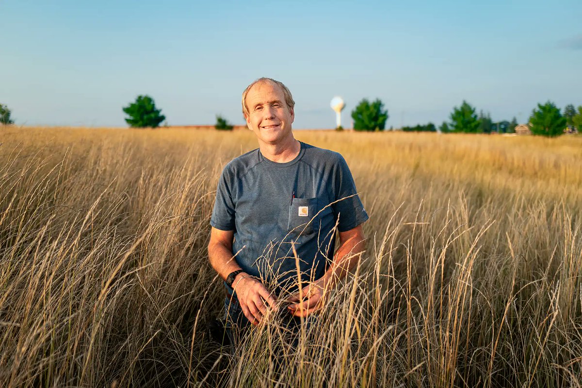 Learn how crops like Kernza help absorb excess nitrogen in the soil to protect rural communities from water pollution @kirstimarohn @ForeverGreenUMN Full article: bit.ly/47ofHrr 📸: Dodd Demas for @FriendsMissRiv