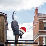 Photo by TeamCatford (@TeamCatford)