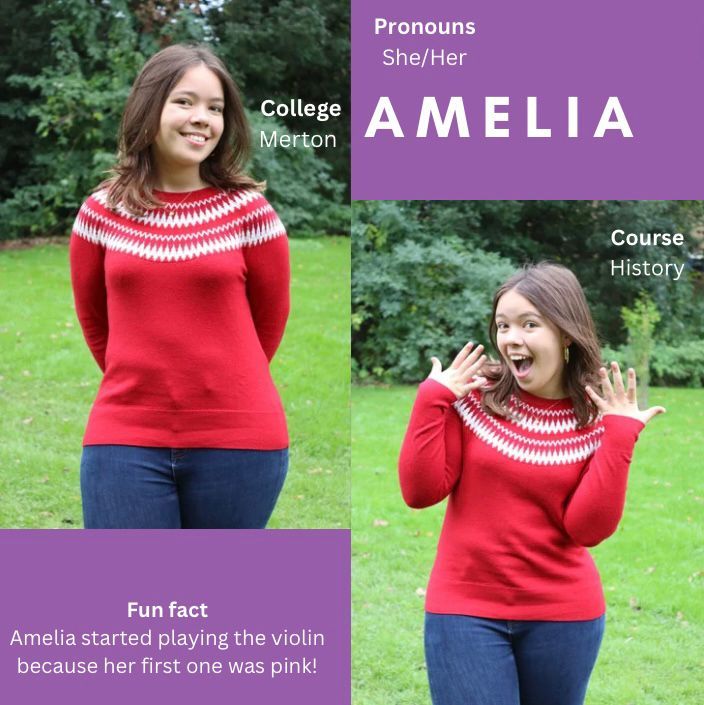 The Oxford Alternotives tweet media