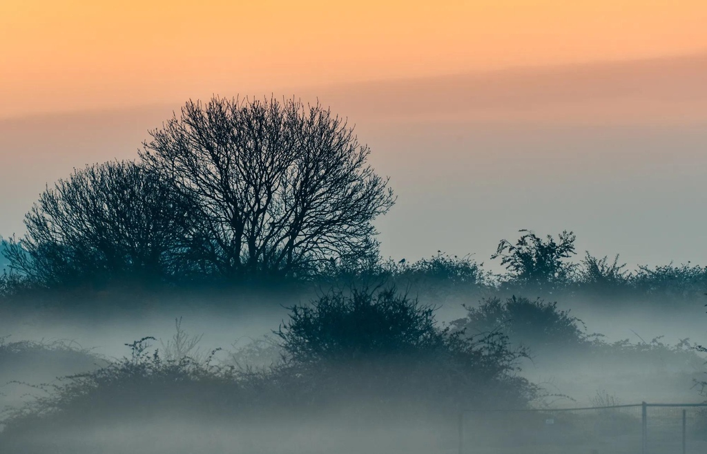 clickasnap_'s tweet image. The Layers of Mist

📷️: clickasnap.com/profile/Creati…⁠

#Photooftheday #Photography #EarlyMorningMist #Mist #Landscape #Serene #Peaceful #Nature #Magic #Magical #Enchanting #Beautiful #Stunning #Breathtaking #AweInspiring #NaturePhotography #LandscapePhotography