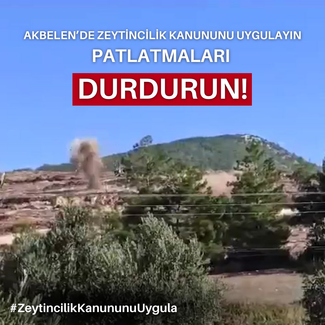 #akbelen #zeytincilikkanununuuygula