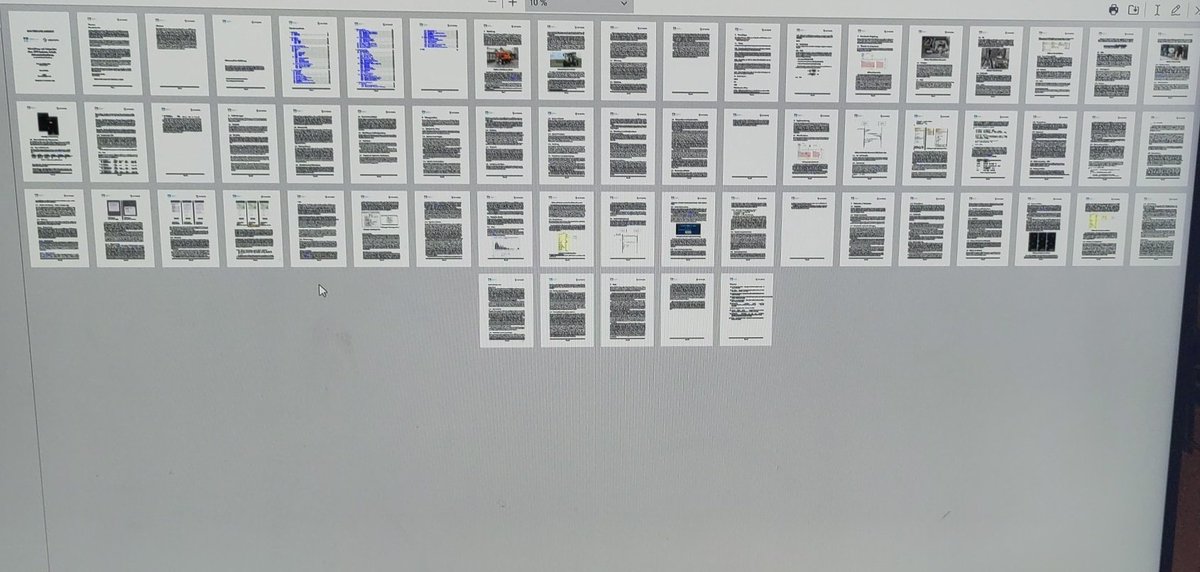 Laura 🌳 tweet media