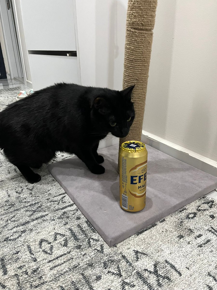 Cyber Humanoid tweet media