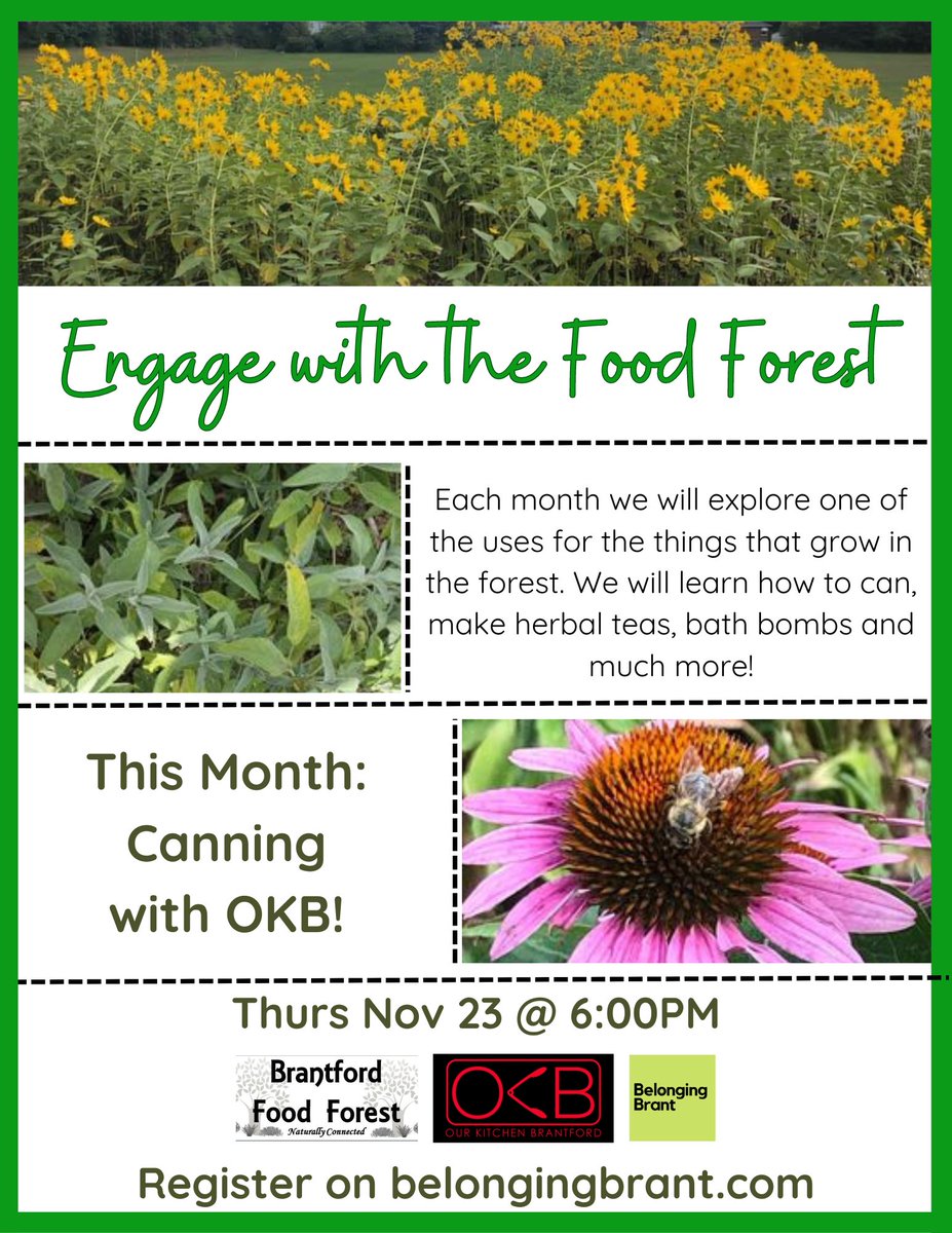 Registration is filling up for the #Brantford #FoodForest’s FREE event! Join the Food Forest at Our Kitchen Brantford Thursday November 23rd at 6:00PM to #pickle #artichokes. Sign up here: belongingbrant.com/event-details/…