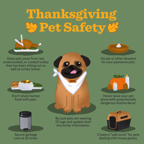 Memphis Office of Emergency Management (@memphisoem) on Twitter photo 🍁🐶 Keep your pets safe this Thanksgiving by keeping them away from unsafe food/drinks (pie, turkey bones, xylitol), seasonal decorations, & plants. 🐱🍂
More #ThanksgivingPetSafety tips 🐾✅🍽️
<a href="/AdoptMas/">AdoptMAS</a> <a href="/RedCrossTN/">American Red Cross of Tennessee</a> <a href="/MemphisHumane/">Memphis Humane Society</a> 🍁🐶 Keep your pets safe this Thanksgiving by keeping them away from unsafe food/drinks (pie, turkey bones, xylitol), seasonal decorations, & plants. 🐱🍂
More #ThanksgivingPetSafety tips 🐾✅🍽️
<a href="/AdoptMas/">AdoptMAS</a> <a href="/RedCrossTN/">American Red Cross of Tennessee</a> <a href="/MemphisHumane/">Memphis Humane Society</a>