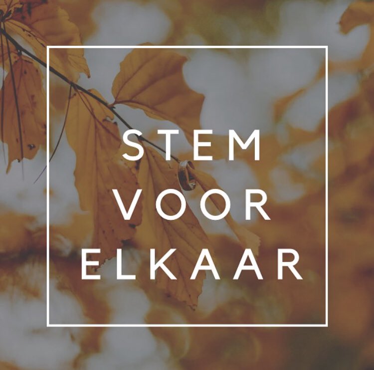 MF030's tweet image. Ik heb gestemd. Het voelde vandaag extra belangrijk om voor een goede regering te stemmen. #stemalsjemag