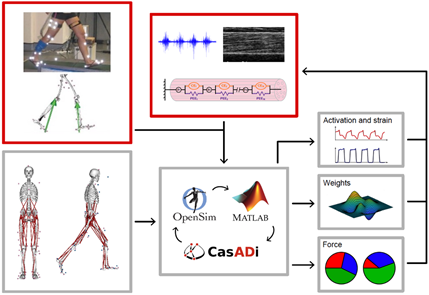Nicolai Konow (@konowlab) on Twitter photo We're hiring! New NIH award to measure inertial effects of (in)active muscle. Collab w/ <a href="/AndrewBiewener/">Andrew Biewener</a> & <a href="/WakelingLab/">Wakeling Lab</a> . A graduate RA (PM me and apply via tinyurl.com/UMLAPPLBIOLPhD ) and Postdoc funds available: Ad at: tinyurl.com/KonowlabNIH - Please share and re-post widely! We're hiring! New NIH award to measure inertial effects of (in)active muscle. Collab w/ <a href="/AndrewBiewener/">Andrew Biewener</a> & <a href="/WakelingLab/">Wakeling Lab</a> . A graduate RA (PM me and apply via tinyurl.com/UMLAPPLBIOLPhD ) and Postdoc funds available: Ad at: tinyurl.com/KonowlabNIH - Please share and re-post widely!